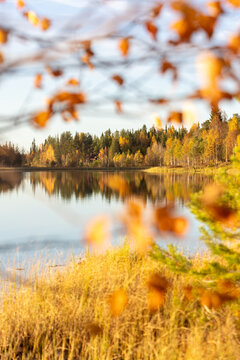 Beautiful autumn colors in Lapland Finland