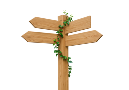 Isolated wooden directional signpost with ivy, four blank arrow pointers pointing four ways