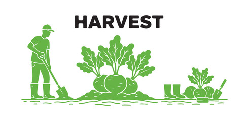 Collection of beetroot vegetable vector illustrations. Gardening and farming depicted with a shovel and gum boots icon silhouette on a white background.