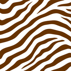  zebra abstract background 