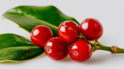 Papier peint photo Chambre de fille Glistening holly berries evoke Yuletide magic, enchanting winter solstice rituals, and hidden festive folklore tales of ancient cheer  © fotogurme