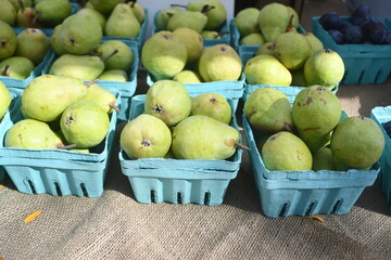 Containers of fresh pairs at a farmer's market