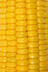A very close-up macro shot captures the glossy texture and orderly rows of bright yellow corn kernels on the cob