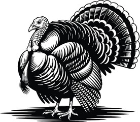 silhouette Detailed thanksgiving turkey bird holiday festival vector illustration,generative ai