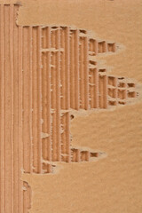 A vertical close-up shows a torn section of brown corrugated cardboard, revealing its inner fluted structure