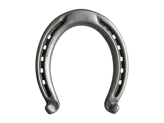 A solitary metallic horseshoe meticulously crafted and showcasing its traditional curved shape against a stark black background