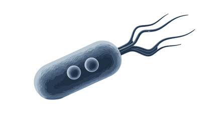 Bacterium cell character with eyes, 3D render illustration. Microbiology concept of a microbe, germ, or pathogen with flagella. Scientific or medical microscopic organism isolated on white.