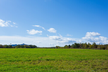 天気の良い日に黒岳、旭岳を望む丘