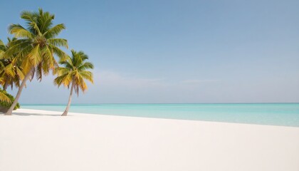 Palm trees on the beach on a tropical island