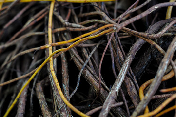 Close Up Texture of Intertwined Dry Brown and Yellow Woody Roots and Twigs Creating a Natural Pattern
