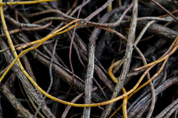 Close Up Texture of Intertwined Dry Brown and Yellow Woody Roots and Twigs Creating a Natural Pattern
