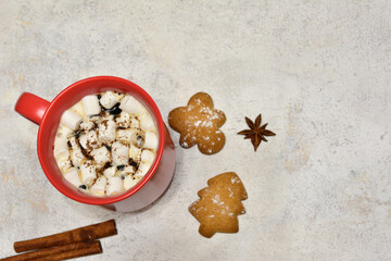 Cozy Hot Chocolate with Gingerbread Cookies and Spices on gray background