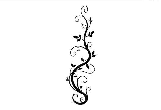Elegant minimalist black silhouette illustration of a decorative climbing vine with ornate leaves swirling branches and organic floral design silhouette vector illustration white background