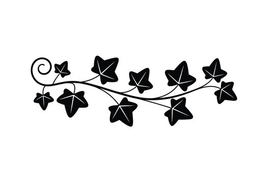Stylized black silhouette ivy vine illustration vector graphic design element decorative botanical patterns organic nature inspired artwork scalable silhouette vector illustration white background