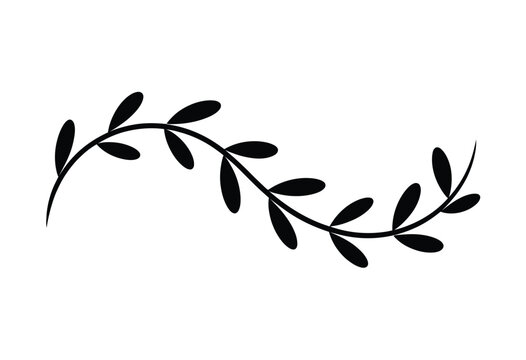 Minimalist black silhouette leafy vine illustration elegant botanical scroll flourish design element decorative nature branch art vector graphic silhouette vector illustration white background