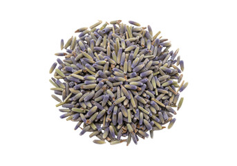Isolated French Lavender flowers arranged in a circle for crafts, perfume, fragrance designs