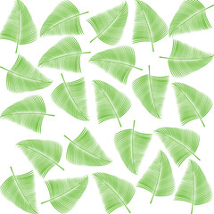 A vibrant green leaf with bold veins, exuding freshness and tranquility. Perfect for designs that evoke a natural, calm, and refreshing atmosphere.