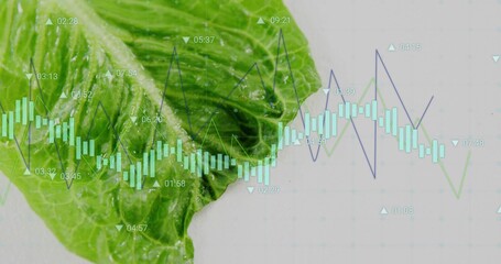 Displaying lettuce leaf showing droplets in studio with overlaying candlestick bars and line graphs