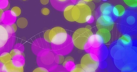Showing dotted-line DNA helix moving in purple abstract space, featuring multicolored bokeh circles