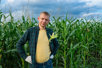 Funny farmer agronomist working on maize field. Working on farm, inspecting harvest on corn field