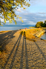 Fototapeta premium Güttingen, Bodensee, Seeufer, Seerundfahrt, Hafen, Schiffe, Boote, Bootssteg, Schilf, Wasservögel, Naturschutz, Uferweg, Wanderweg, Schattenwurf, Sommer, Abendstimmung, Ostschweiz, Thurgau, Schweiz