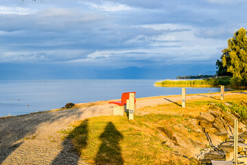 Güttingen, Bodensee, Seeufer, Seerundfahrt, Hafen, Schiffe, Boote, Bootssteg, Schilf, Wasservögel, Naturschutz, Uferweg, Wanderweg,  Abendstimmung, Sommer, Schatten,, Ostschweiz, Thurgau, Schweiz