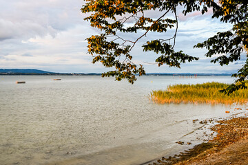 Güttingen, Bodensee, See, Seeufer, Uferweg, Ufer, Wasservögel, Schilf, Naturschutz, Wassersport, Seerundfahrt, Sommer, Abendstimmung, Ostschweiz, Thurgau, Schweiz