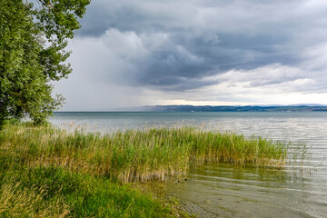 Güttingen, Bodensee, See, Seeufer, Uferweg, Ufer, Wasservögel, Schilf, Naturschutz, Wassersport, Seerundfahrt, Sommer, Ostschweiz, Thurgau, Schweiz