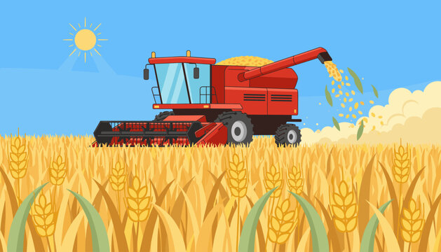 Vibrant cartoon illustration of a red combine harvester working in a golden wheat field under a bright blue sky with a shining sun, symbolizing the agricultural process of crop harvesting and