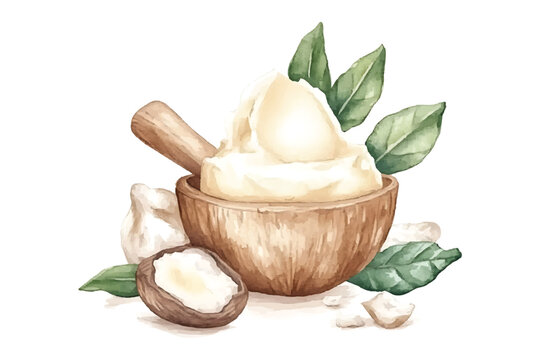 Watercolor illustration of shea butter in a wooden bowl with watercolor illutrastion transparent background