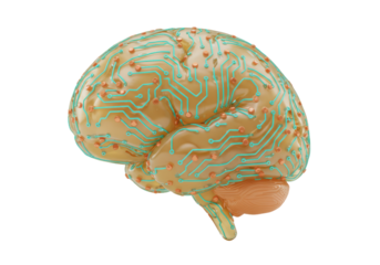 Isolated Artificial intelligence brain, circuit board simulation, concept, robotics, ai, 3d