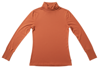 Isolated long sleeve turtle neck top in brown, comfortable casual fashion apparel, studio shot