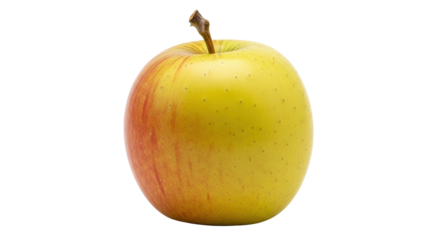 Isolated natural yellow apple with stem, side view, healthy fruit, fresh produce