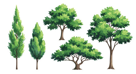A collection of diverse green trees in varying shapes and sizes.