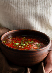 Homemade borscht in clay bowl held by woman
