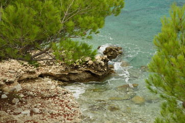 Rocky shore of the Adriatic Sea with pine trees