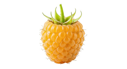 Isolated Golden Raspberry on White, Fresh Fruit, Ready to Eat, Summer Harvest, Healthy Food