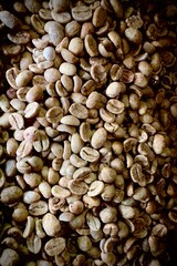 Detailed macro shot of raw dried coffee beans showing natural textures and earthy tones, ideal for backgrounds, agriculture, or coffee industry concepts.