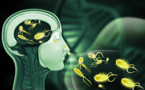 Human brain eating amoeba, Naegleria Fowleri. 3d illustration