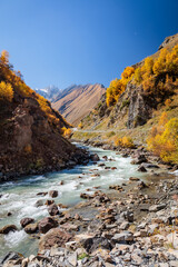 Autumn landscape in the gorge near Truso Valley, Georgia. Crystal-clear mountain river, golden trees and sharp peaks under a deep blue sky create a peaceful, cinematic scene