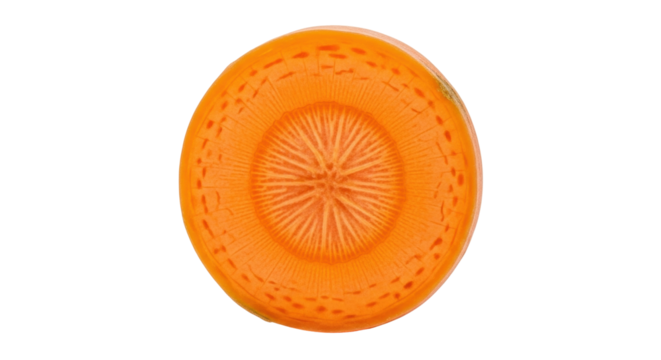 Isolated cross-section of carrot showing inner texture, a nutritious and orange vegetable
