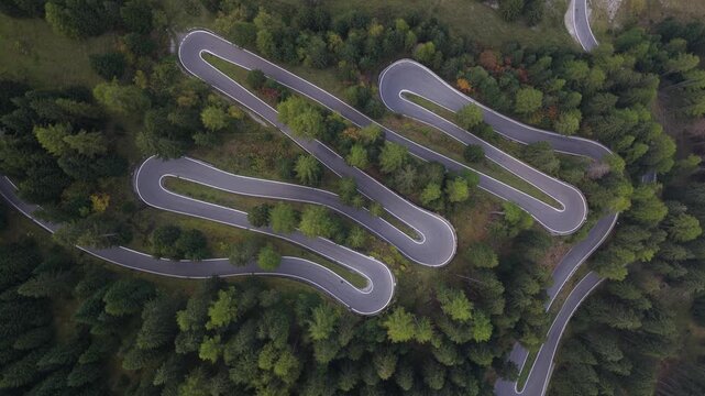 Stelviopass hair pin turns, Forest and mountain road.