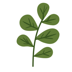 Green leafy branch with small buds, adding fresh charm to spring, growth, or nature-themed decorative elements and icons.
