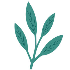 Teal leafy branch with layered leaves, ideal for fresh, organic, or spring-themed design projects and decorative border elements.
