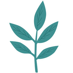 Teal leafy branch with layered leaves, ideal for fresh, coastal, or minimalist nature-themed design projects and pattern backgrounds.
