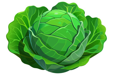 Fresh Organic Green Cabbage Isolated on Transparent Background – Healthy Vegetable Concept.