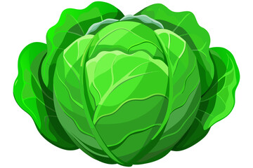 Obraz premium Fresh Organic Green Cabbage Isolated on Transparent Background – Healthy Vegetable Concept.