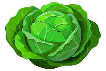 Obraz premium Fresh Organic Green Cabbage Isolated on Transparent Background – Healthy Vegetable Concept.