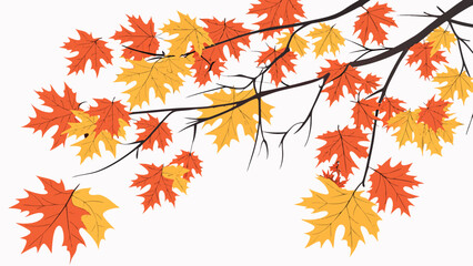 Autumn maple leaves falling with colorful foliage isolated on white background