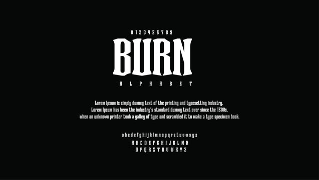 burn  premium luxury elegant alphabet letters and numbers. Vintage wedding typography classic serif font decorative vintage concept. Creative vector illustration.	

